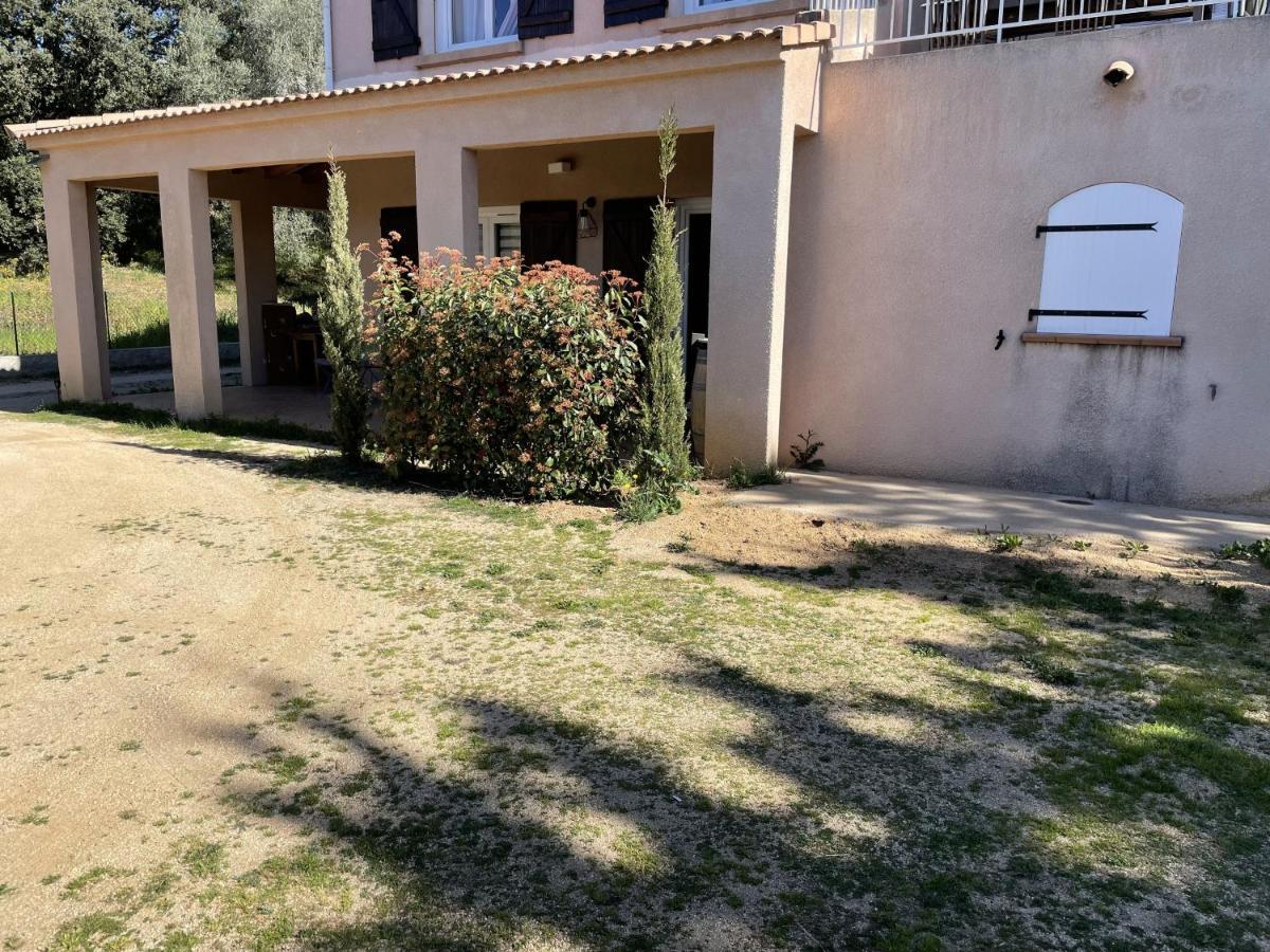 Rez De Bordure Ajaccio *